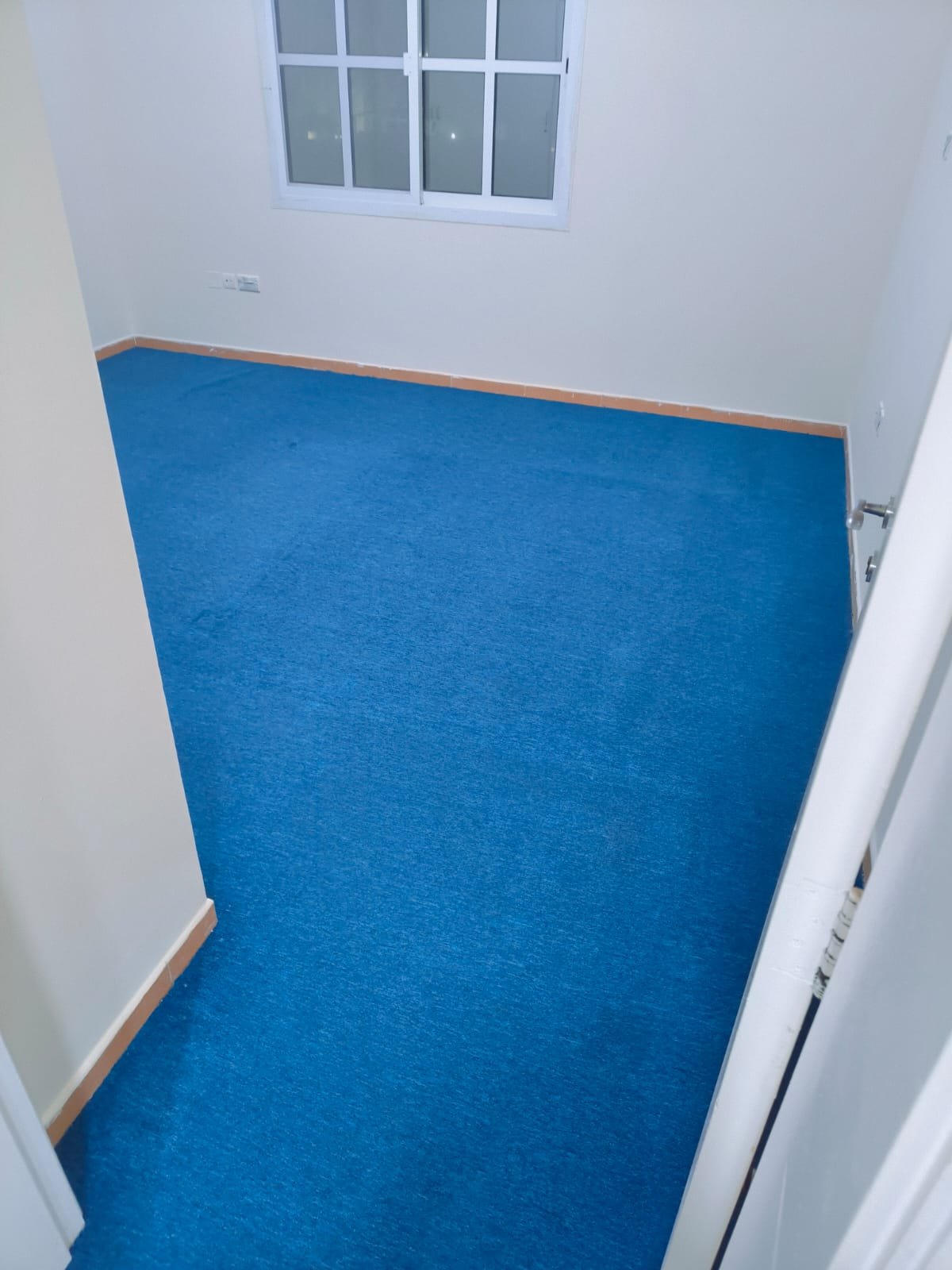 Blue Office Carpet Cleaning Abu Dhabi - Wall-to-Wall Carpet Restoration