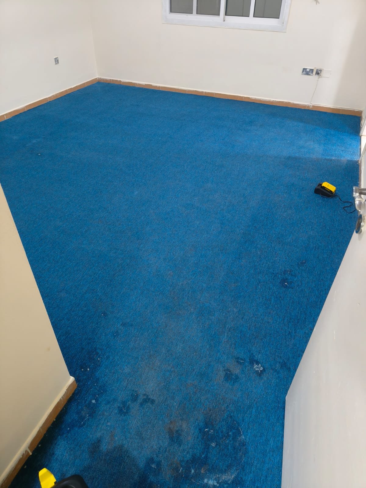 Blue Office Carpet Cleaning Abu Dhabi - Wall-to-Wall Carpet Restoration