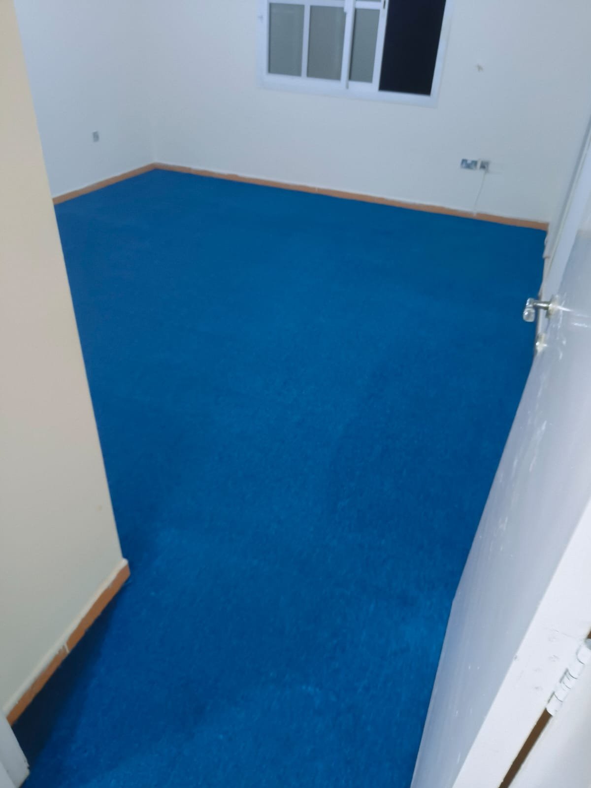 Blue Office Carpet Cleaning Abu Dhabi - Wall-to-Wall Carpet Restoration