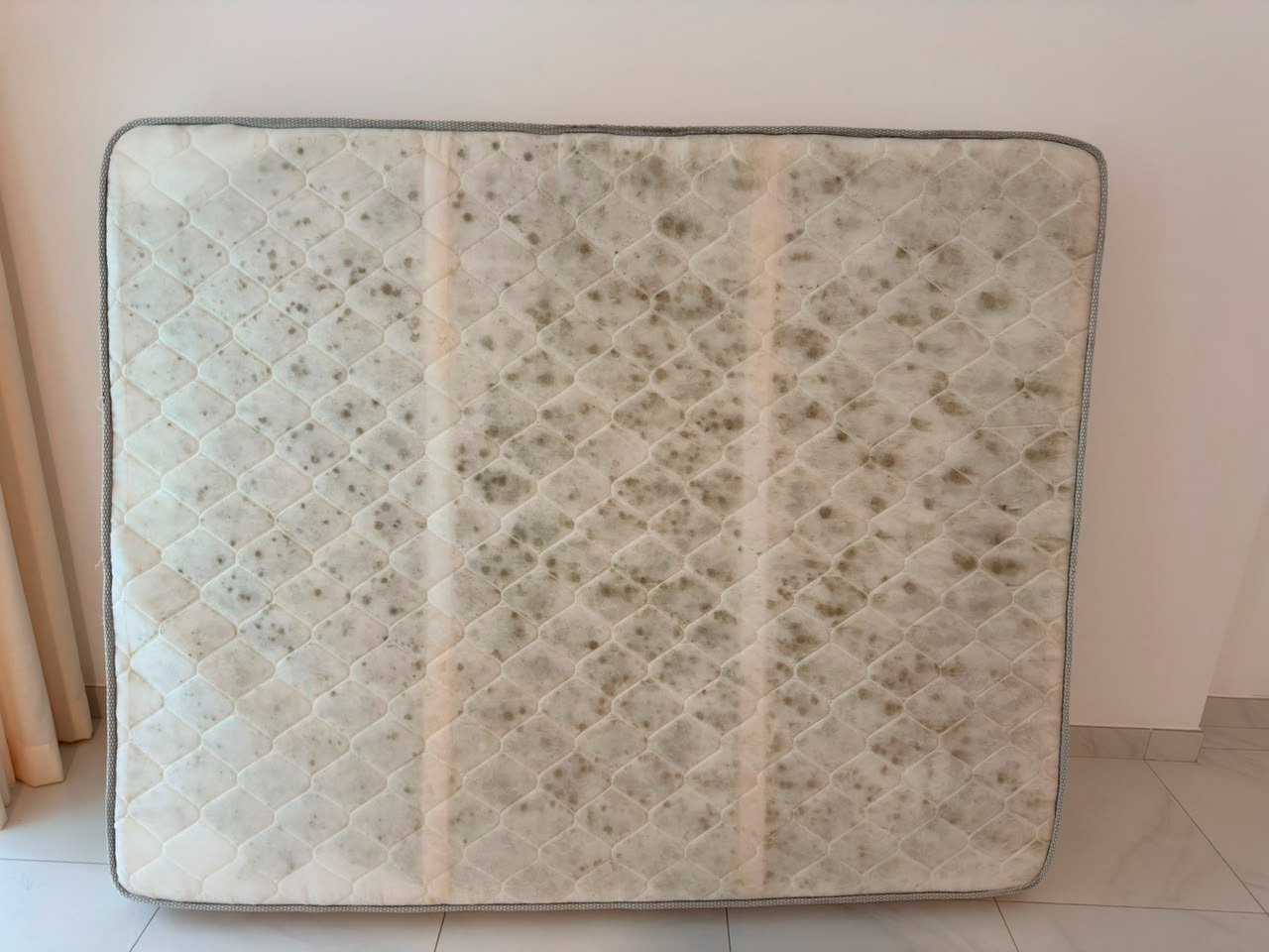 Mold Remover Services in Abu dhabi